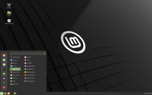 screenshot do linux mint